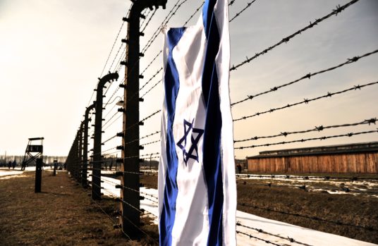 Concentration camp fence