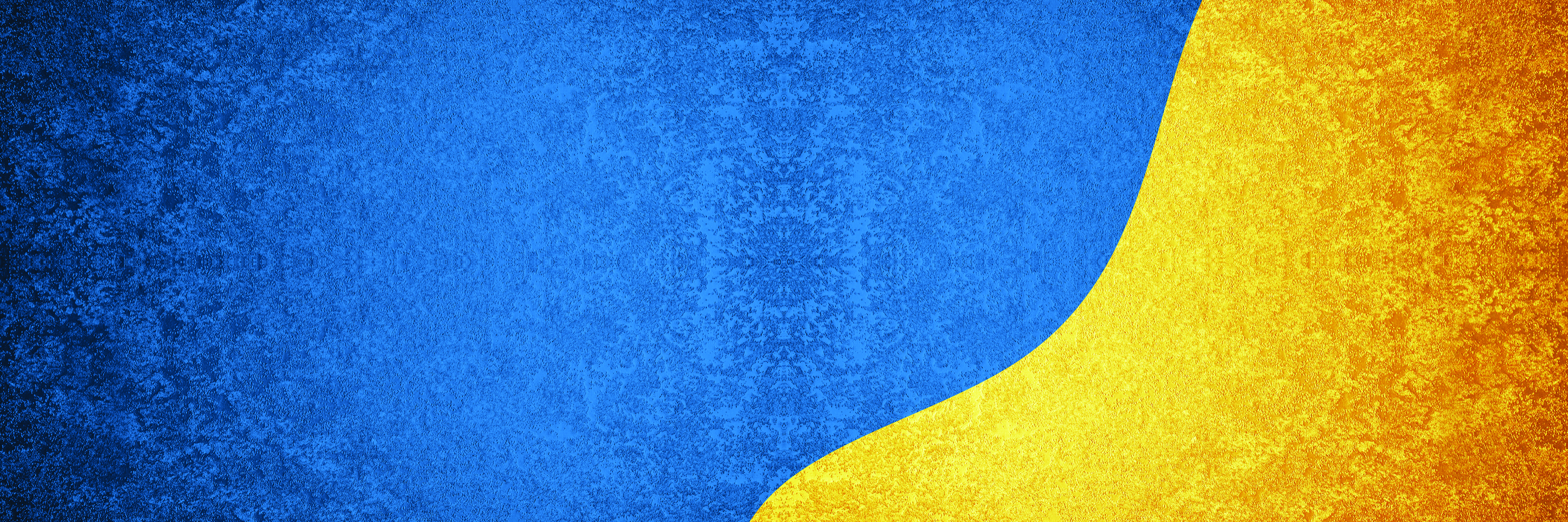 Ukrainian Flag