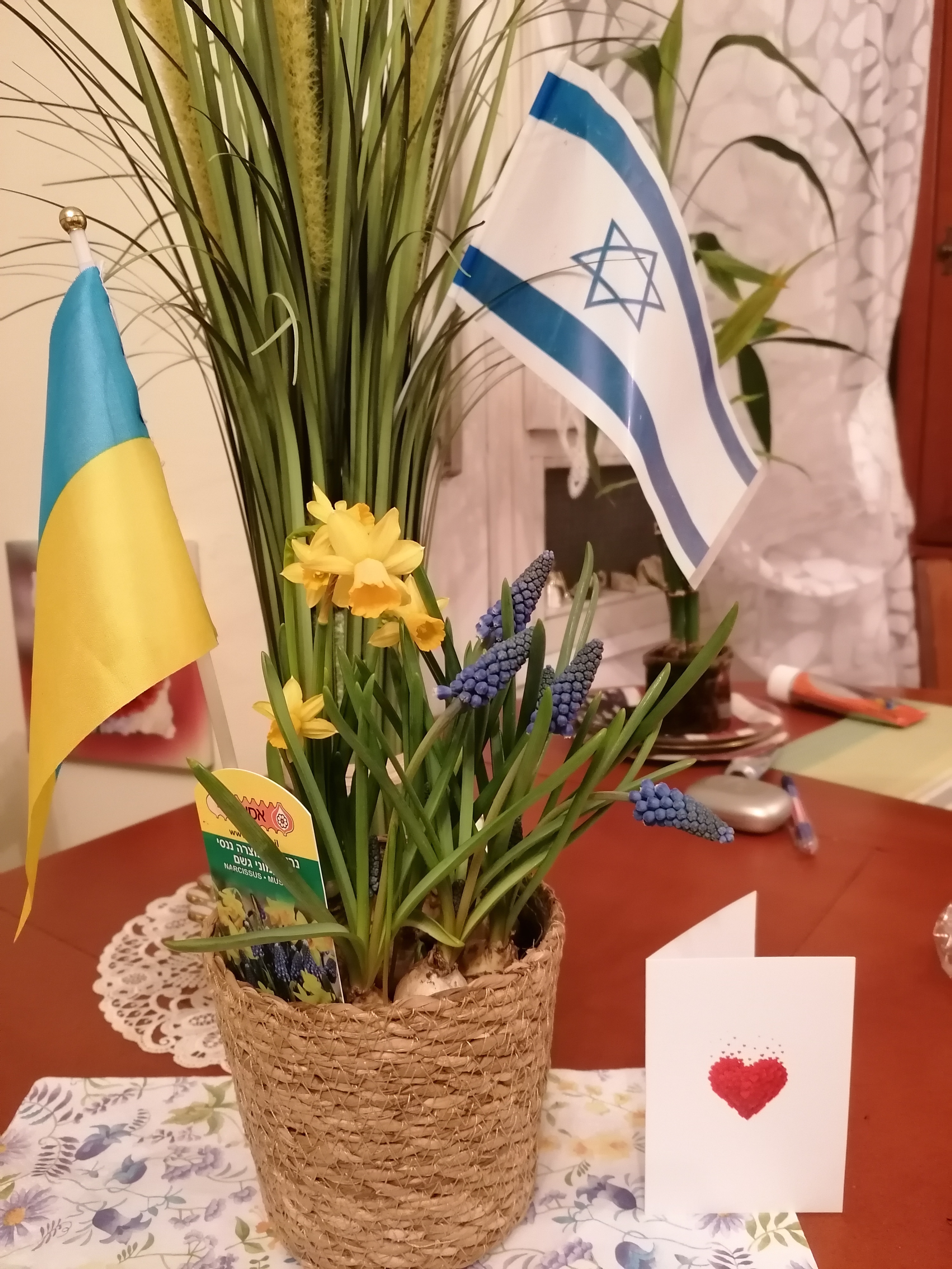 yellow and blue flowers representing Ukrainian colours