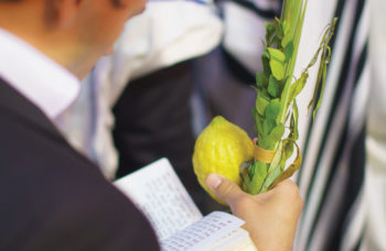 Jewish man holding luluv