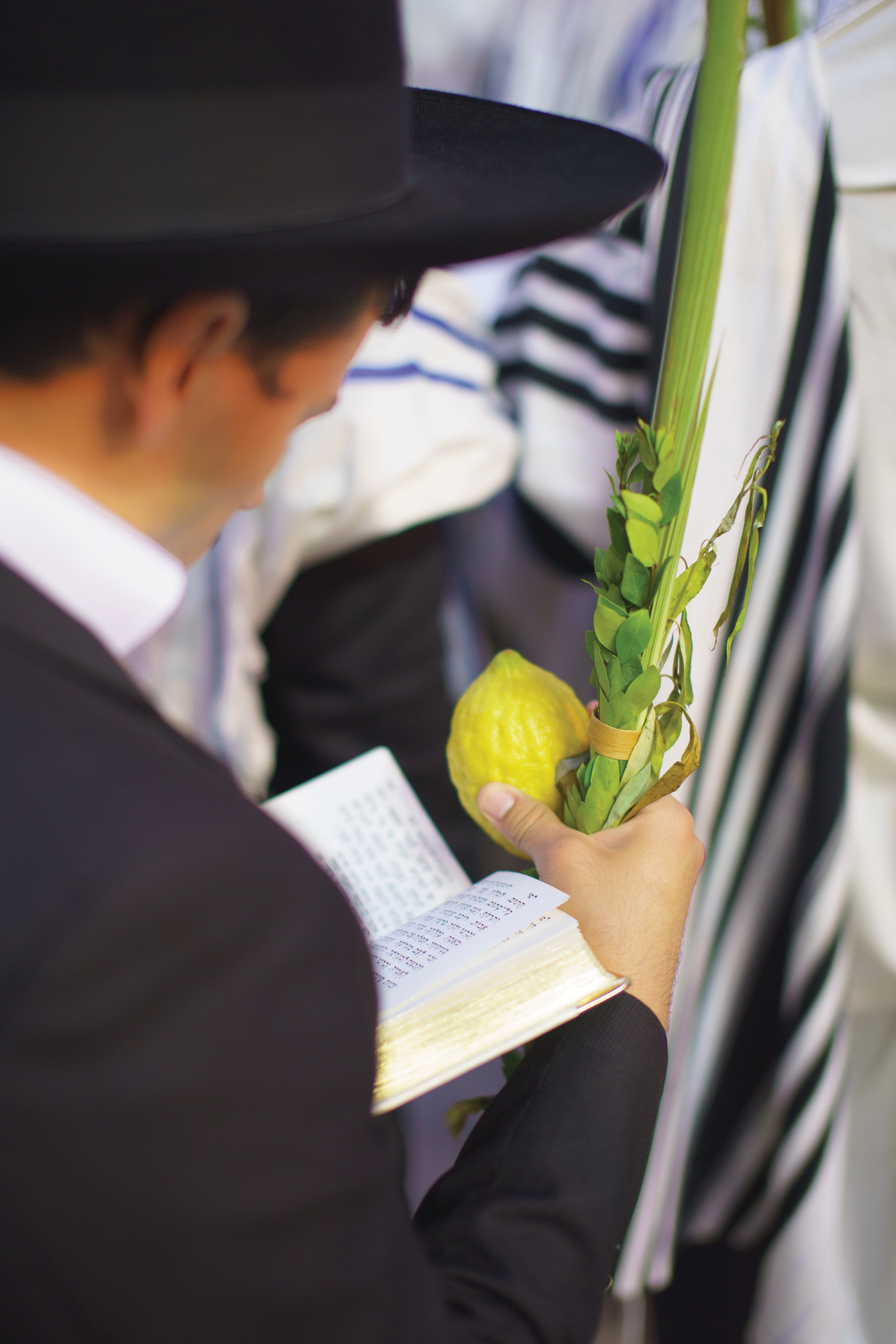 Jewish man holding luluv