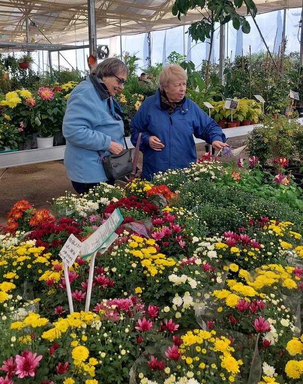 survivors looking at flowers