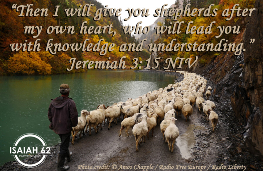 Sheep Shepherd