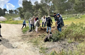 Tour members planting oak trees