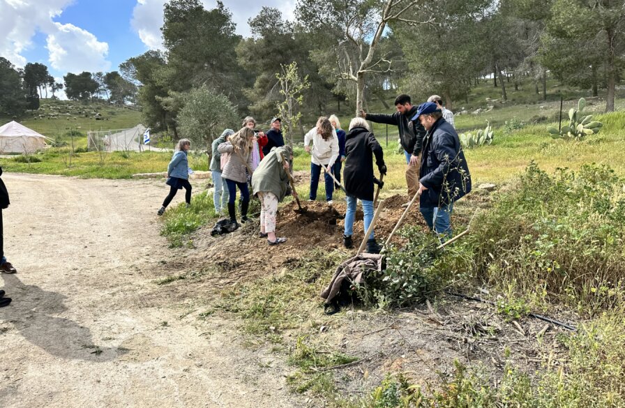 Tour members planting oak trees