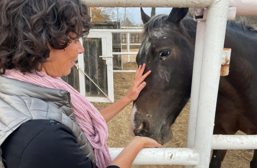 ICEJ staff member with the ICEJ's new horse 'Marty'.