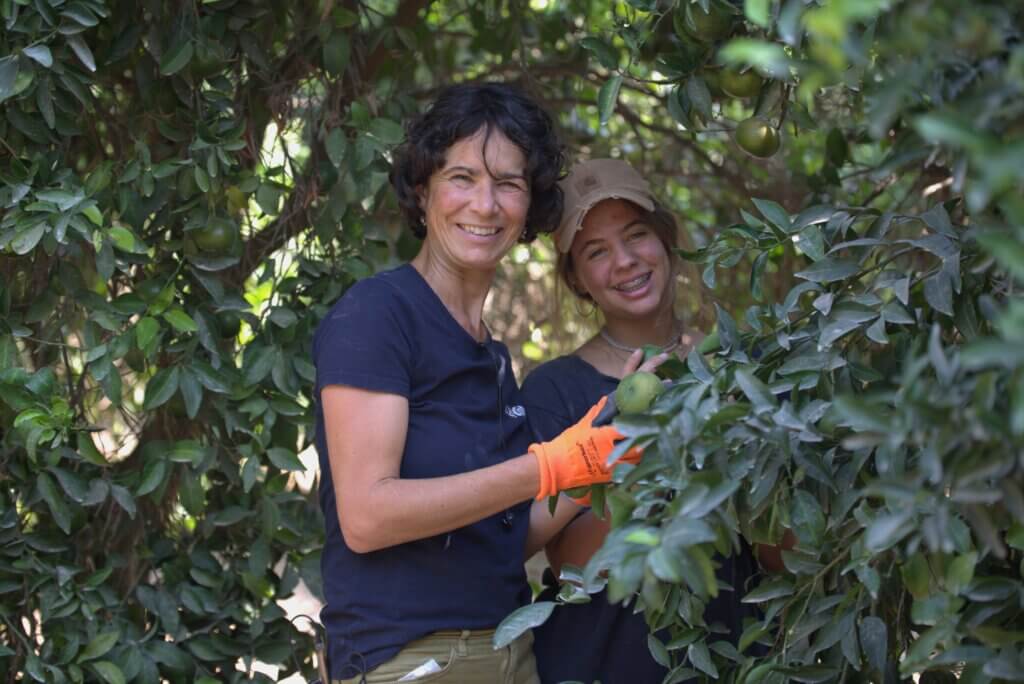 Jannie Hands-on Tour